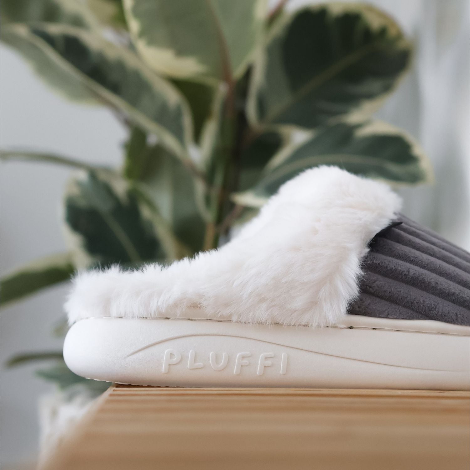 Cozette™ Slides